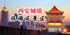 极品骚货被艹失禁中国陕西-西安城墙旅游风景区