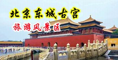 美女被操嗷嗷叫中国北京-东城古宫旅游风景区